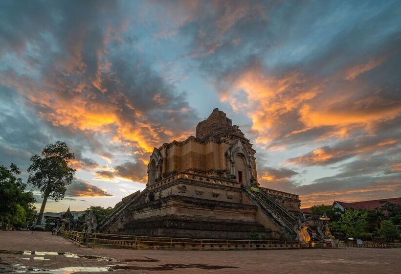 Fotos del hotel The Rodman:  18