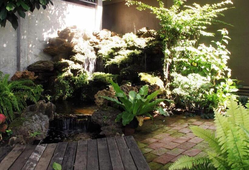 Fotos del hotel The White Elephant Home:  3