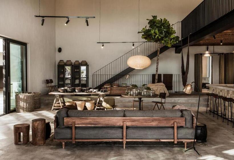 Fotos del hotel Oku Kos:  10