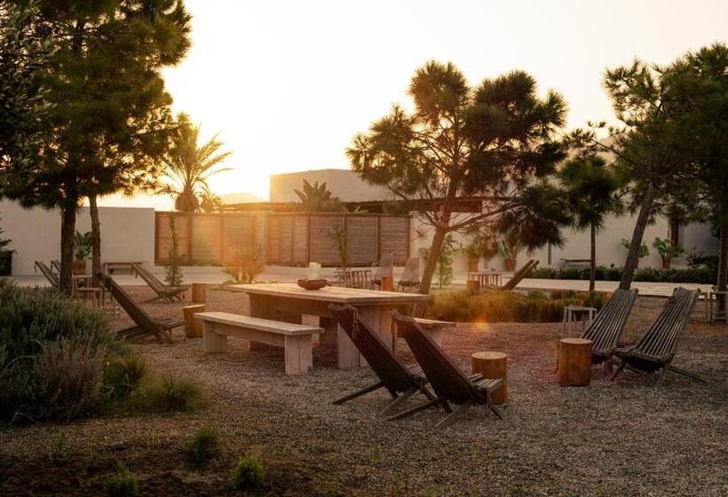 Fotos del hotel Oku Kos:  23