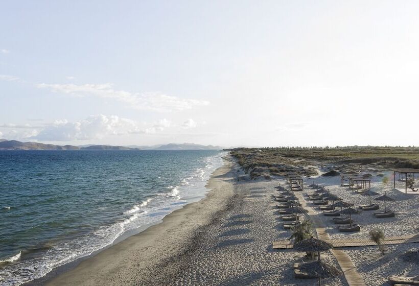 Fotos del hotel Oku Kos:  19