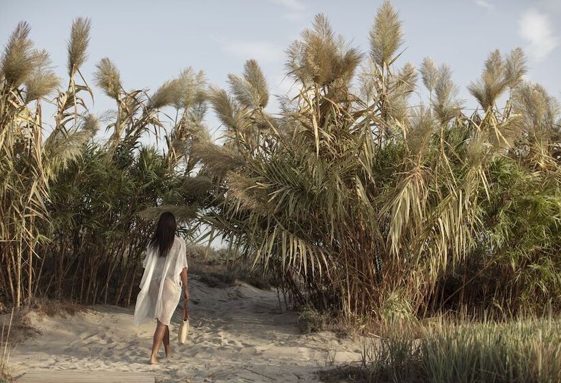 Fotos del hotel Oku Kos:  6