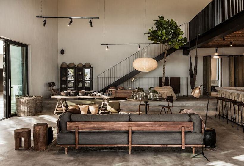 Fotos del hotel Oku Kos:  20