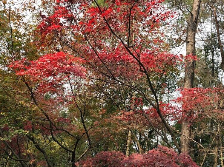 Fotos del hotel Qiashe Hotel Hangzhou:  11