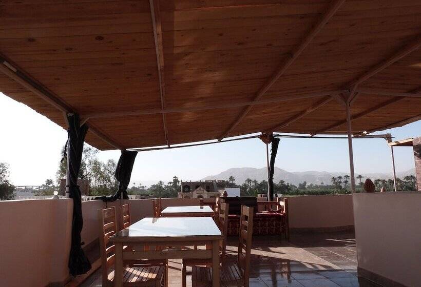 Fotos del hotel Luxor Plaza House:  8