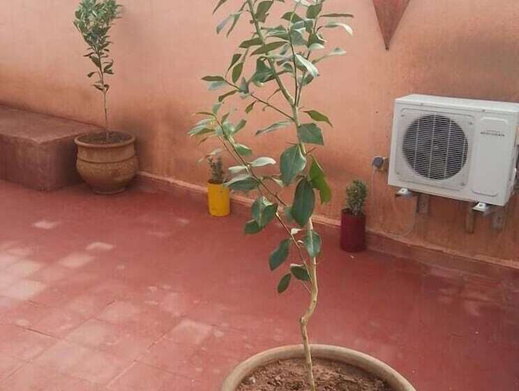 Fotos del hotel Riad Hanafi:  6