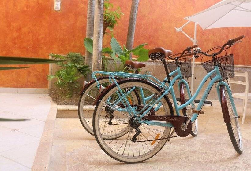 Fotos del hotel Mansion  Boutique:  22