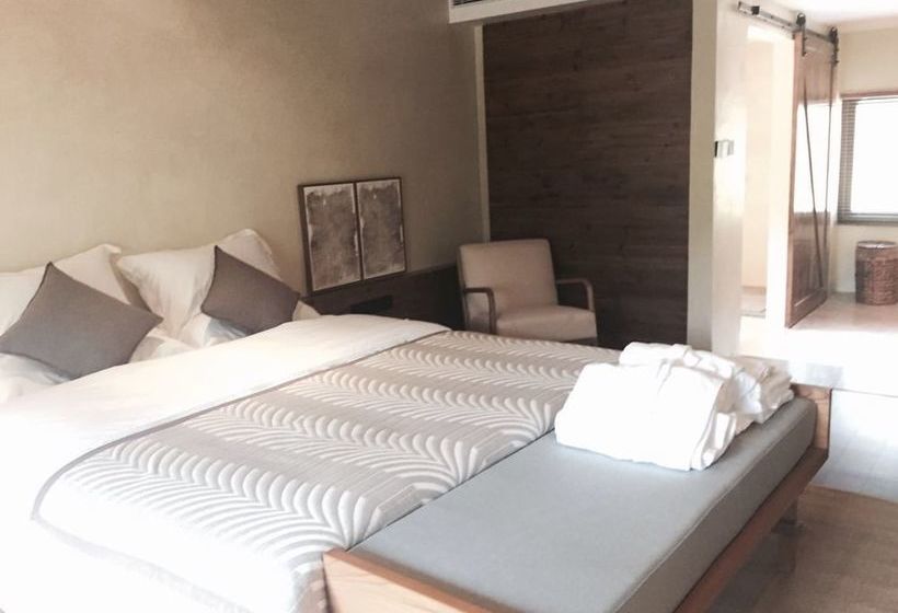 Fotos del hotel Vision:  11