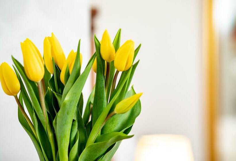 Fotos del hotel Le Premier Boutique:  24