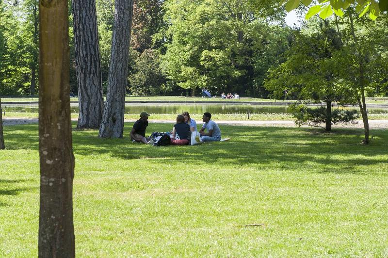 Fotos del hotel Colbert:  7