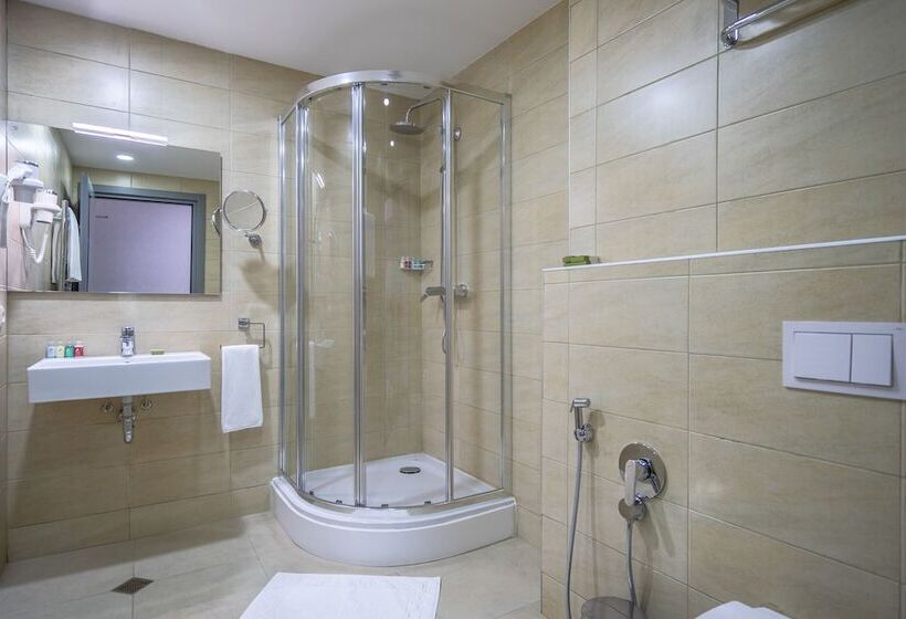 Fotos del hotel Atlas Abashidze:  20