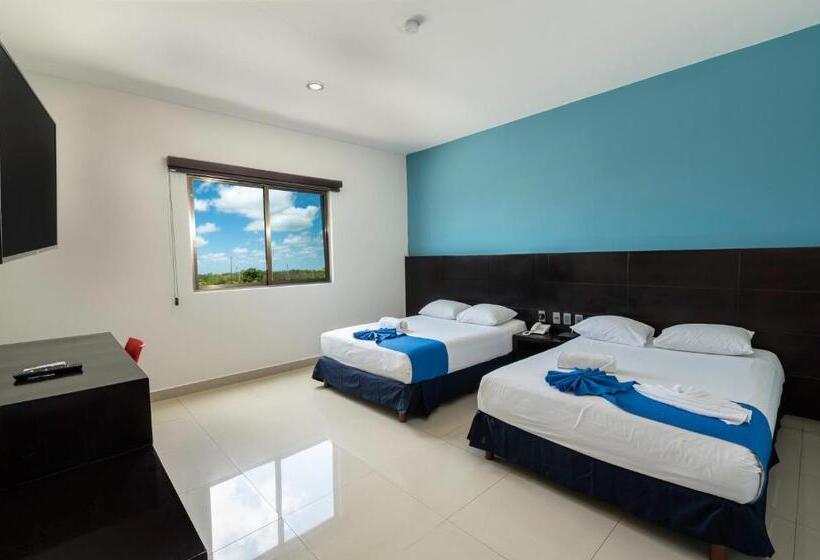 Fotos del hotel Ambra:  6