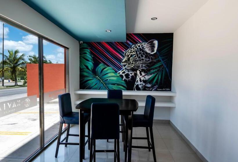 Fotos del hotel Ambra:  19