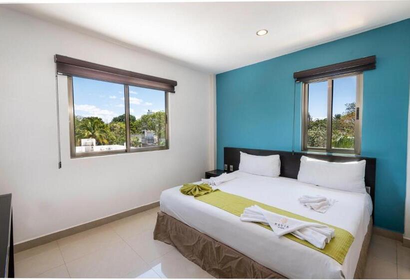 Fotos del hotel Ambra:  5