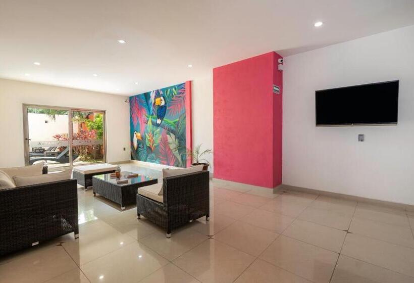 Fotos del hotel Ambra:  20