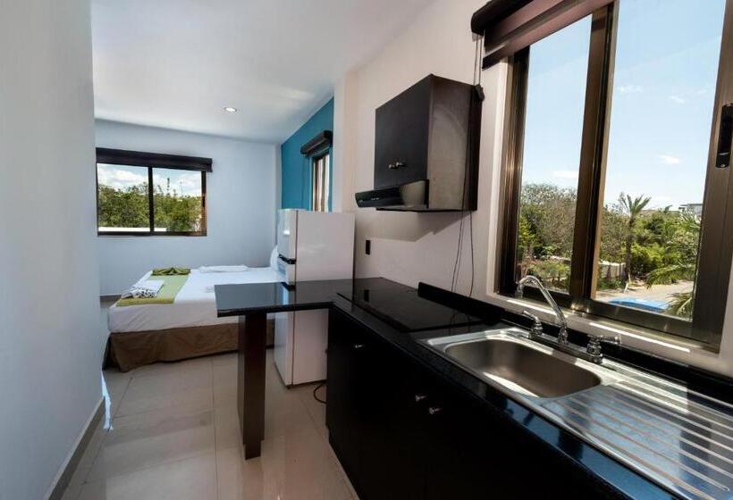 Fotos del hotel Ambra:  23