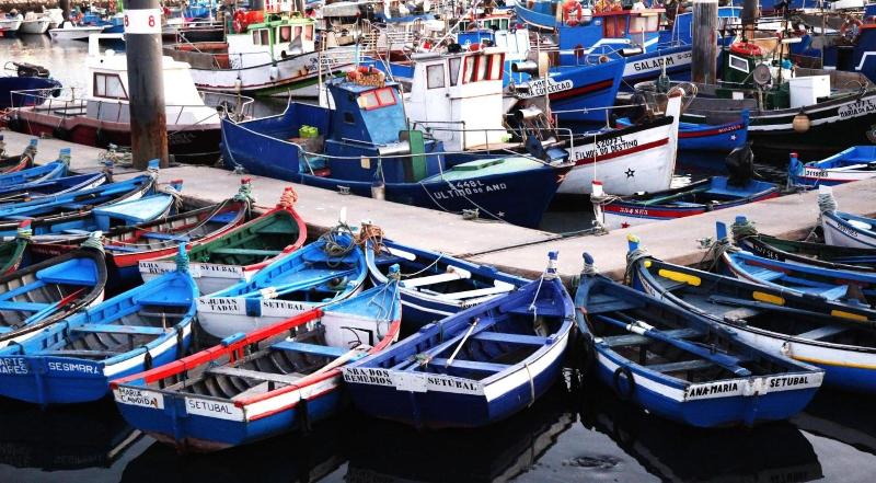 Fotos del hotel Rio Art:  24