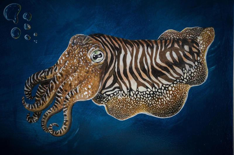 Fotos del hotel Rio Art:  7