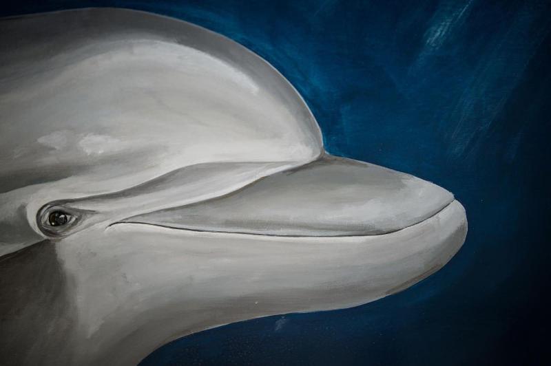 Fotos del hotel Rio Art:  10