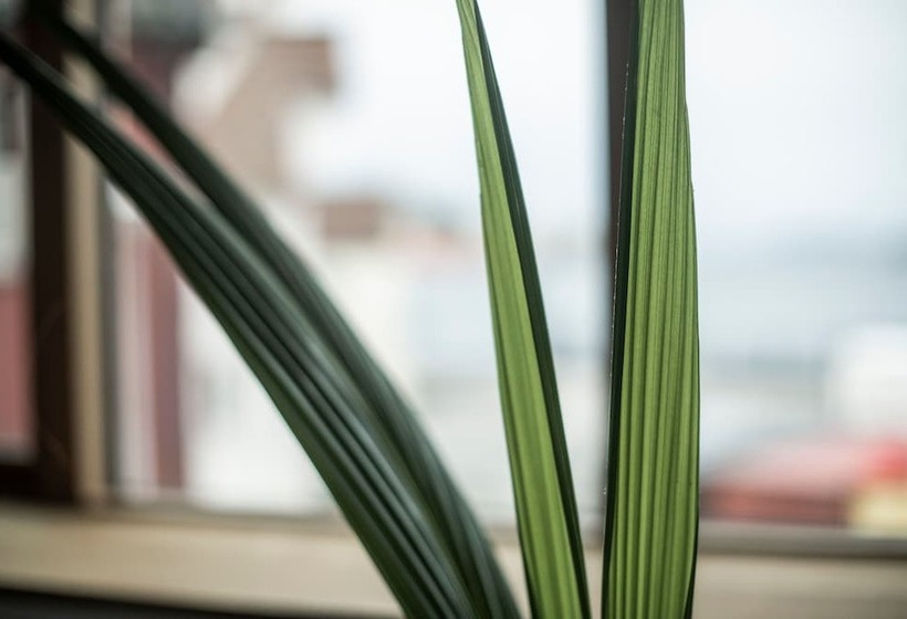 Fotos del hotel Eilert Smith:  9