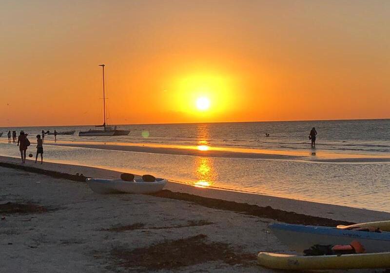 Fotos del hotel Soho Boutique Holbox  Adults Only:  15