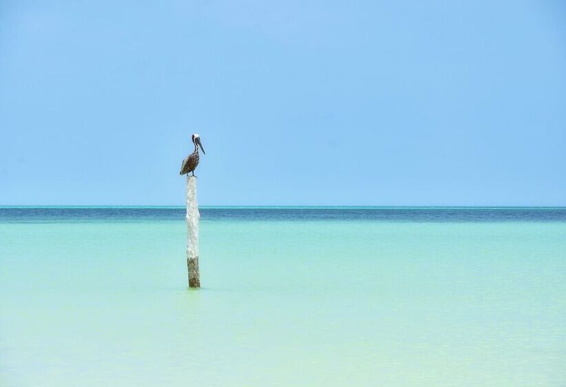 Soho Boutique Holbox  Adults Only