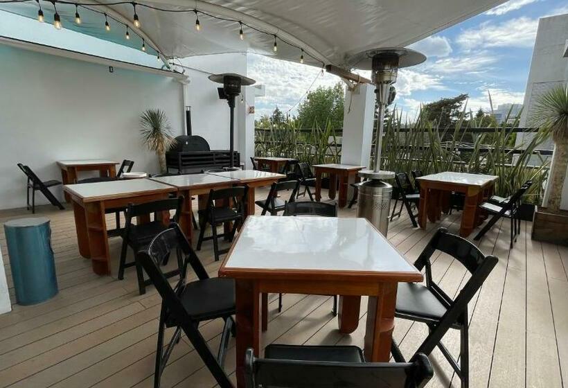 Fotos del hotel Suites Arboleda 215:  2