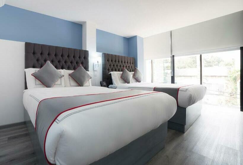 Fotos del hotel Suites Arboleda 215:  8