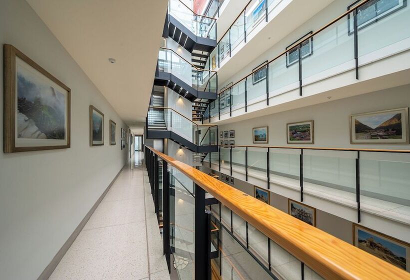 Living Céfiro By Stara