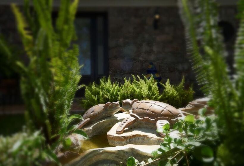 Fotos del hotel Cascadas Boutique:  2