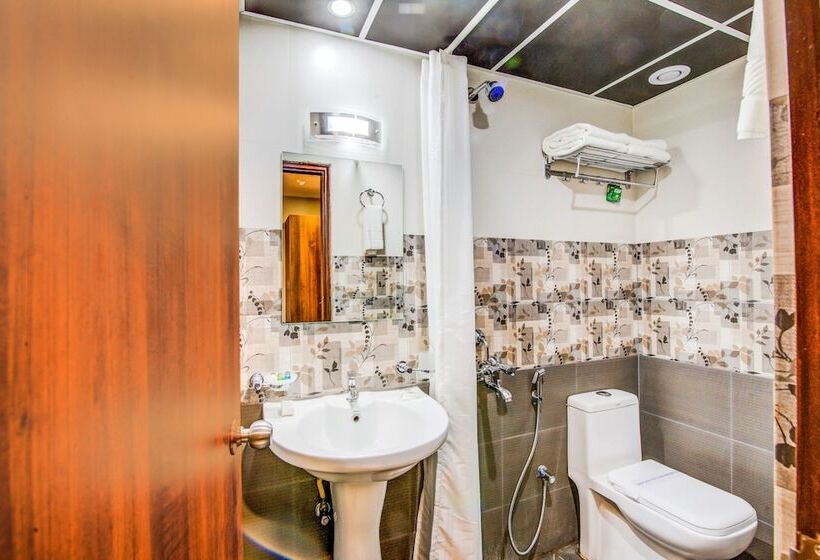 Fotos del hotel Fabhotel Prime Abion:  5