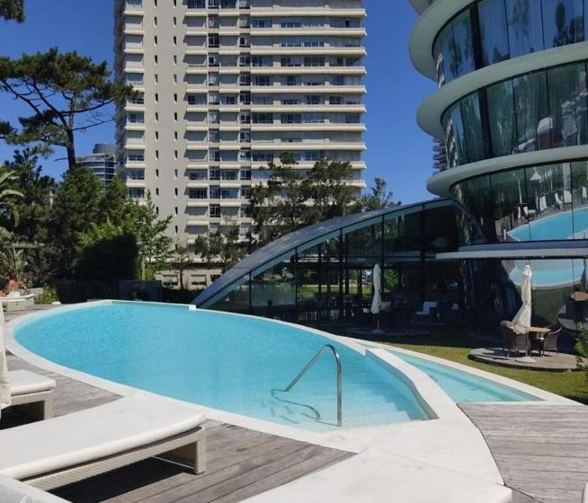 Fotos del hotel Don Majestic Hotel Punta Del Este:  11