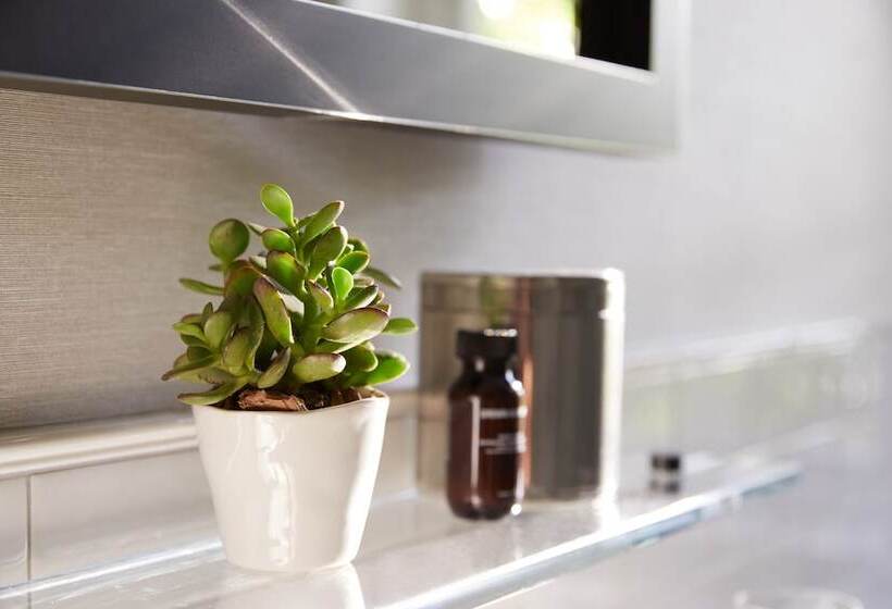 Fotos del hotel The Whitney Hotel Boston:  10