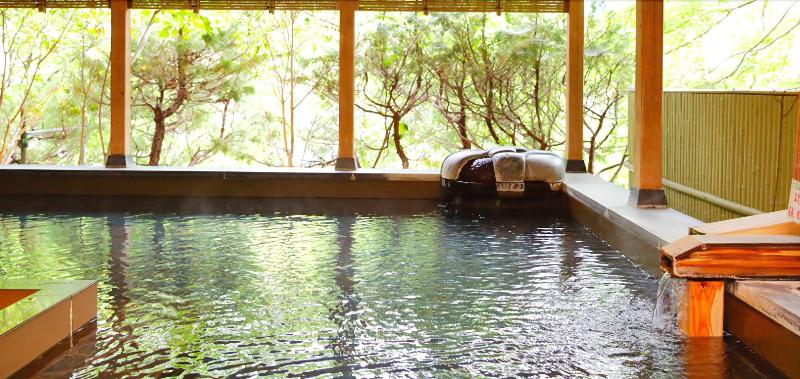 Fotos del hotel Livemax Resort Kawaji:  13