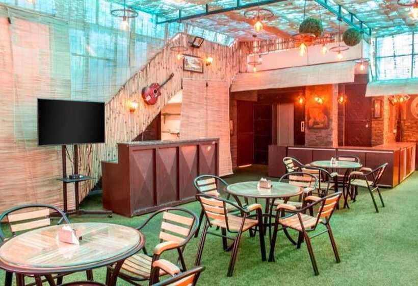 Fotos del hotel Ap Holiday Inn:  19