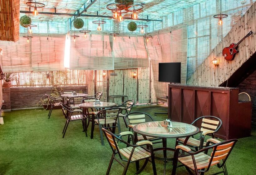 Fotos del hotel Ap Holiday Inn:  20