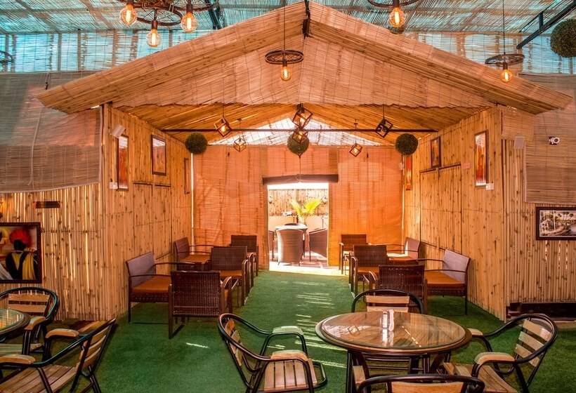 Fotos del hotel Ap Holiday Inn:  21