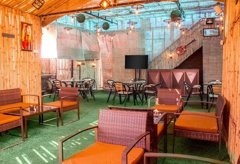 Fotos del hotel Ap Holiday Inn:  22