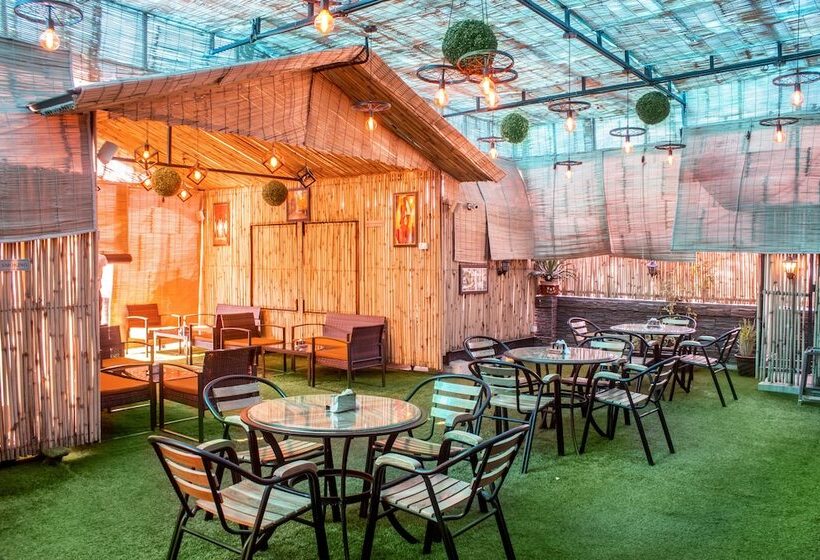 Fotos del hotel Ap Holiday Inn:  23