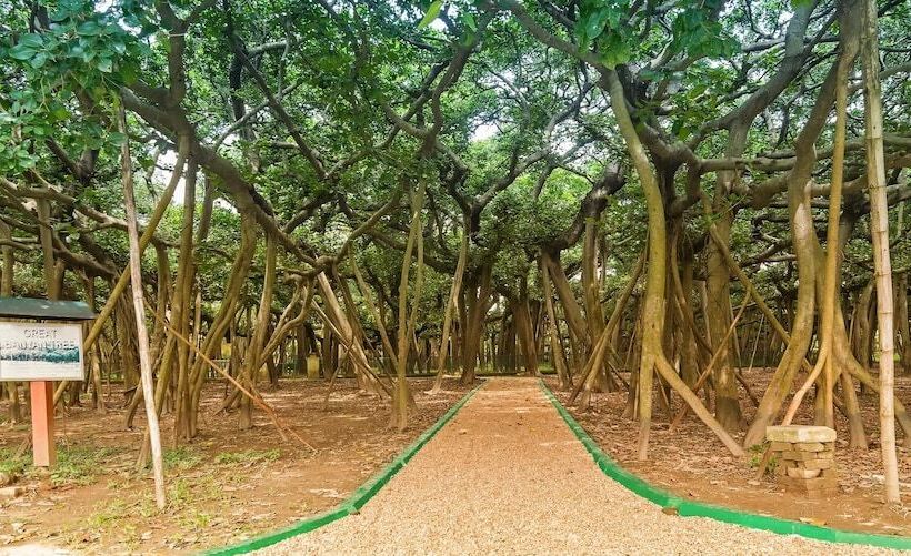 Oyo 11609 Hotel Annapurna