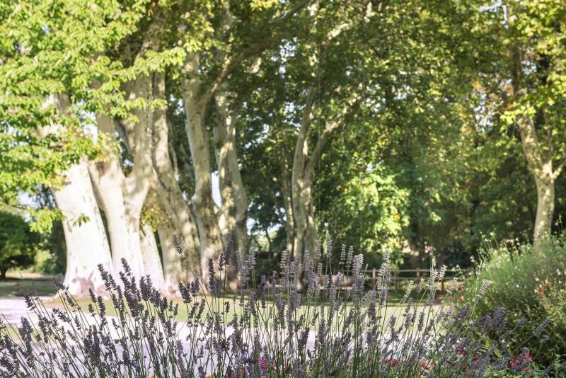 Fotos del hotel Chateau De Massillan:  5