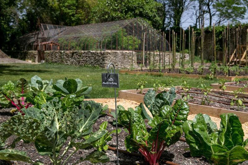 Fotos del hotel Chateau De Massillan:  10