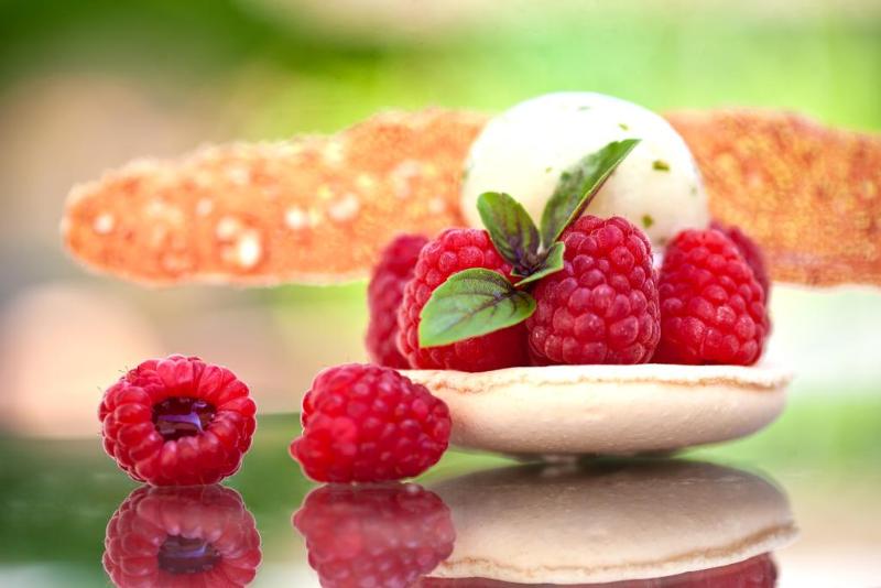 Fotos del hotel Chateau De Massillan:  1