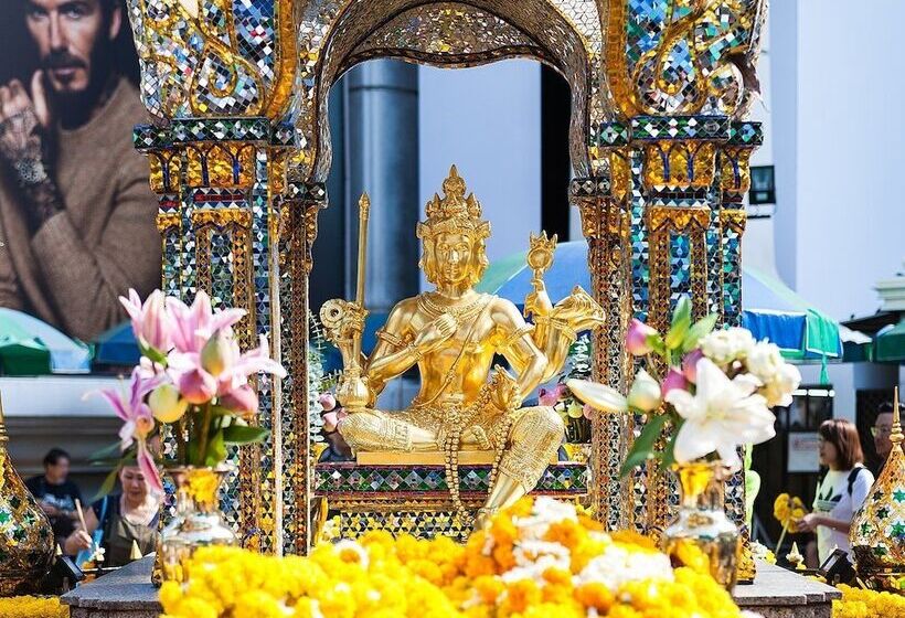 Fotos del hotel Marwin Villa:  16