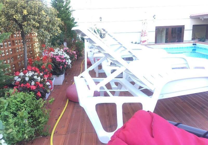 Fotos del hotel Sunrise  çameria:  9