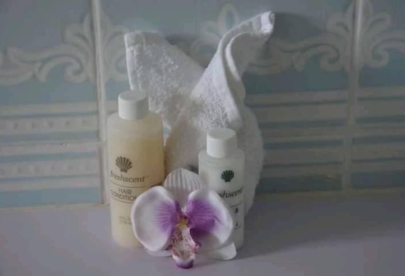 Fotos del hotel Paradise First:  25