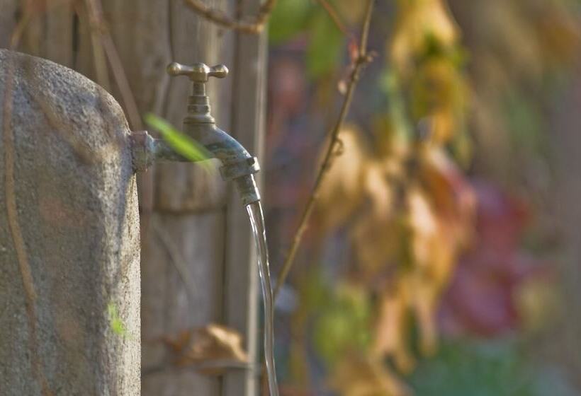 Fotos del hotel Posada Verde Oliva:  18