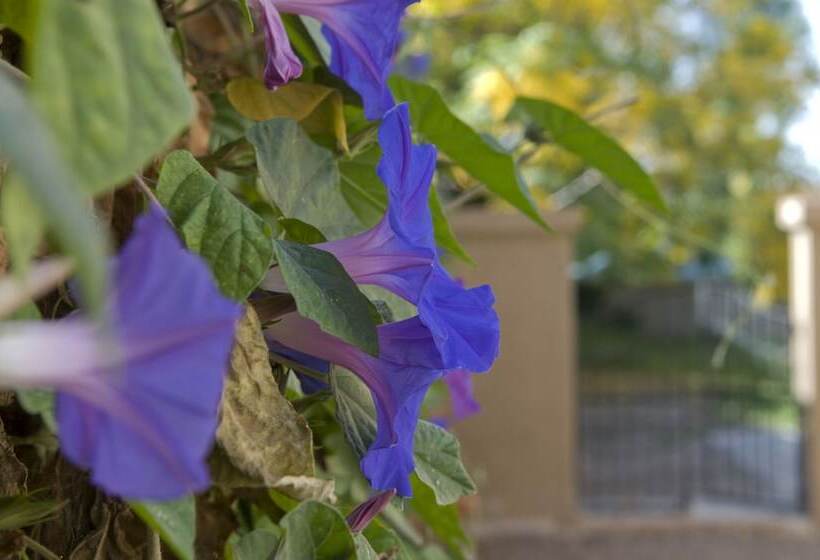 Fotos del hotel Posada Verde Oliva:  21