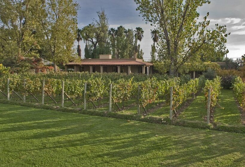 Fotos del hotel Posada Verde Oliva:  6