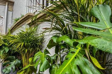 Sr Luis Hotel Boutique   Zona Héroes   Recepción Digital 24h - Bogota